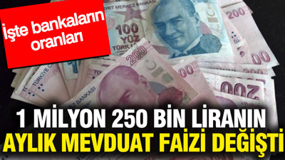 1 milyon 250 bin liranın aylık mevduat faizi değişti: İşte bankaların oranları