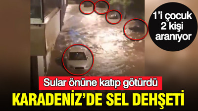 Karadeniz’de sel dehşeti: Sular önüne katıp götürdü: 1’i çocuk 2 kişi aranıyor