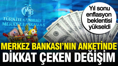 Merkez Bankası'nın anketinde dikkat çeken değişim: Yıl sonu enflasyon ve dolar beklentisi yükseldi