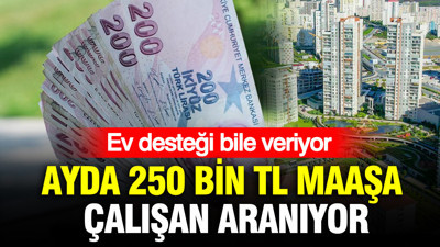 Ayda 250 bin TL maaşa çalışan aranıyor: Ev desteği bile veriyor