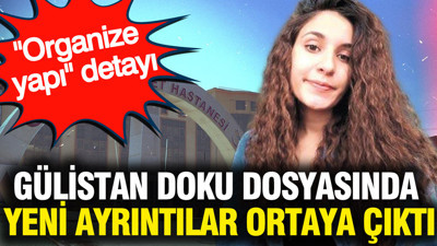 Gülistan Doku dosyasında yeni ayrıntılar ortaya çıktı: 'Organize yapı' detayı