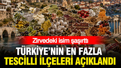 Türkiye'nin en fazla tescilli ilçeleri açıklandı: Zirvedeki isim şaşırttı