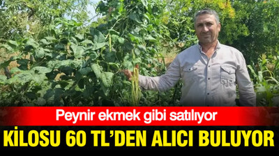 Kilosu 60 TL'den alıcı buluyor: Peynir ekmek gibi satılıyor
