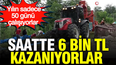 Yılın sadece 50 günü çalışıyorlar: Saatte 6 bin TL kazanıyorlar