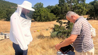 Afyonkarahisar'da arılı kovan tespiti ve sayım çalışmaları başlatıldı