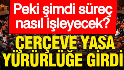 Çerçeve Yasa Resmi Gazete'de yayımlandı: Peki şimdi süreç nasıl işleyecek?