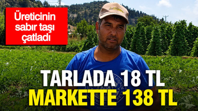 Tarlada 18 TL, markette 138 TL: Üreticinin sabır taşı çatladı