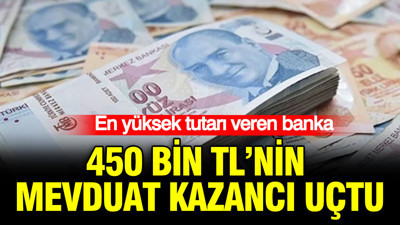 450 bin TL'nin mevduat kazancı uçtu: En yüksek tutarı veren banka