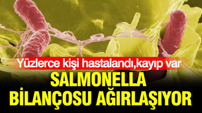 İngiltere'yi salmonella vurdu: Yüzlerce kişi hastalandı kayıp var