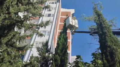 Sivas Serpincik Göleti'nde 1,5 metrelik dev yayın balığı yakalandı