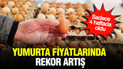 Yumurta fiyatlarında rekor artış: Sadece 4 haftada oldu