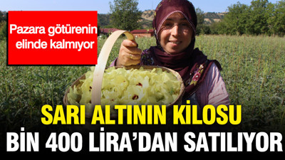 Sarı altının kilosu bin 400 liradan satılıyor: Pazara götürenin elinde kalmıyor