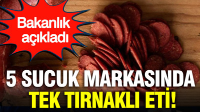 Bakanlık açıkladı: 5 sucuk markasında tek tırnaklı eti tespit edildi