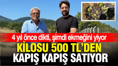 Kilosunu 500 liradan satıyor: 4 yıl önce dikti, şimdi ekmeğini yiyor