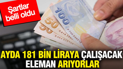 Ayda 181 bin liraya çalışacak eleman arıyorlar: Şartlar belli oldu