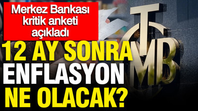 Merkez Bankası kritik veriyi açıkladı: 12 ay sonra enflasyon ne olacak?