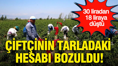 Çiftçinin tarladaki hesabı bozuldu: 30 liradan 18 liraya düştü