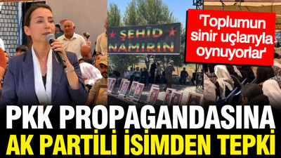 AK Partili isimden DEM'e süreç eleştirisi: PKK yetmez, DEM de silah bıraksın