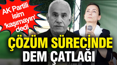 Çözüm sürecinde DEM çatlağı: AK Partili isim 'kaşımayın' dedi