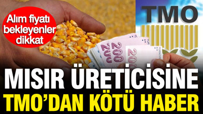 Mısır üreticisine TMO'dan kötü haber: Alım fiyatı bekleyenler dikkat