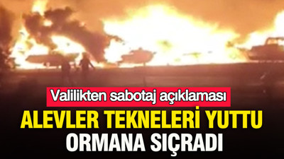 Alevler tekneleri yuttu, ormana sıçradı: Valilikten sabotaj açıklaması