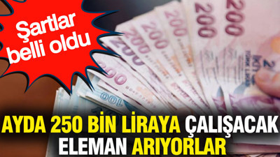 Ayda 250 bin liraya çalışacak eleman arıyorlar: Şartlar belli oldu (29 Ağustos 2026)