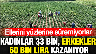 Kadınlar ayda 33 bin, erkekler 60 bin lira kazanıyor: Ellerini yüzlerine süremiyorlar
