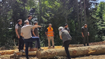 Bolu’da ormancılık çalışmalarına denetim