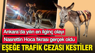 Eşeğe trafik cezası kestiler: Nasrettin Hoca fıkrası gerçek oldu: Ankara’da yılın en ilginç olayı
