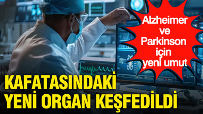 Alzheimer ve Parkinson için yeni umut: Kafatasındaki yeni organ keşfedildi