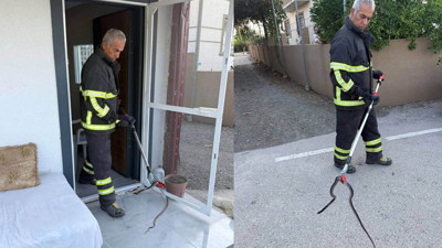 Hatay Arsuz'da evde görülen yılan doğal yaşamına salındı