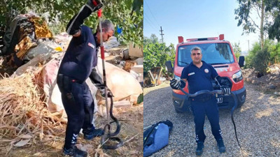 Antakya'da ev bahçesinde yakalanan 2 metrelik kara yılan endişelendirdi