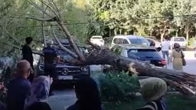 Fırtınanın gücü: Söğüt ağacı iki aracı ezip saça çevirdi