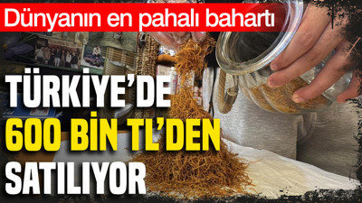 Dünyanın en pahalı baharatı Türkiye'de 600 bin TL'den satılıyor