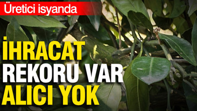 İhracat rekoru var, alıcı yok: Üretici isyanda