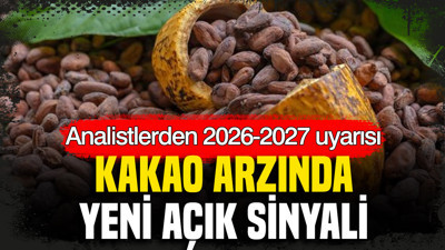 Kakao arzında yeni açık sinyali: Analistlerden 2026-2027 uyarısı