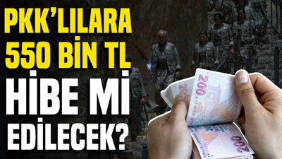 PKK’dan hüküm giyenlere 550 bin TL hibe mi edilecek?