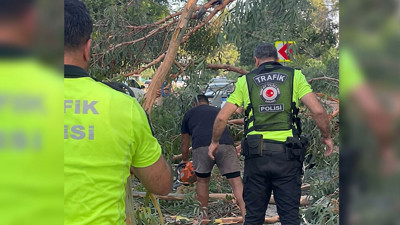 Testeresini kaptığı gibi koştu: Devrilen ağaç trafiği kilitledi