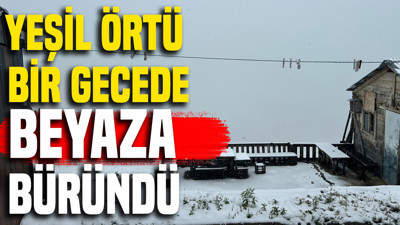 Yeşil örtü bir gecede beyaza büründü: Kar erken bastırdı