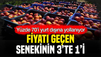 Fiyat geçen senekinin üçte biri: Yüzde 70’i yurt dışına yollanıyor