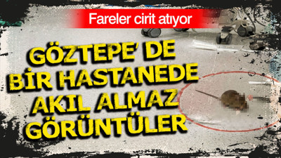 Göztepe’de bir hastanede akıl almaz görüntüler: Fareler cirit atıyor