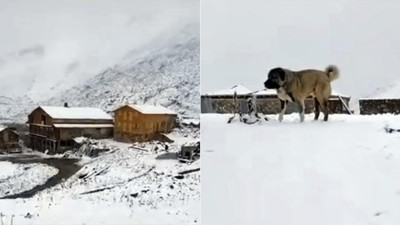 Rize’de eylülde sürpriz: Tahpur Yaylası'nı beyaz örtü kapladı