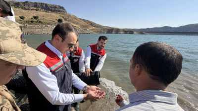 Şırnak Güçlükonak’ta Ilısu Baraj Gölü’ne 800 bin yavru balık salındı