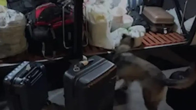 Yolcu otobüsünde kilolarca uyuşturucu