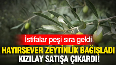 Hayırseverler zeytinlik bağışladı, Kızılay satışa çıkardı: İstifalar peşi sıra geldi