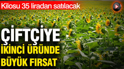 Kilosu 35 liradan satılacak: 90 gün sonra hasat başlıyor
