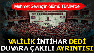 Diyarbakır'da Valiliğin 'intihar' dediği ölümü Meclis gündeminde