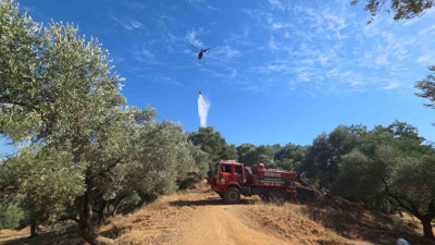 Nazilli’de yangın: 2 dönüm zeytinlik zarar gördü