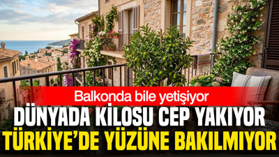 Dünyada kilosu cep yakıyor, Türkiye’de yüzüne bakılmıyor: Balkonda bile yetişiyor