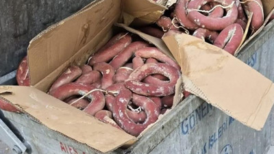 Gönen Oya ve Çeyiz Fuarı sonrası çöpte çok sayıda kangal sucuk bulundu